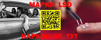 СК Ставрополь