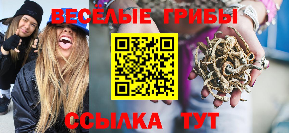 Галлюциногенные грибы мицелий  Псилоцибиновые грибы Cubensis  Карабулак  где купить наркотик  Вход с VPN 